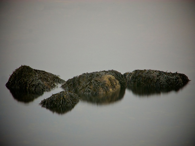 Loading Image
